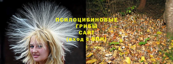 mdpv Няндома