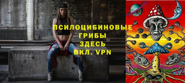 mdpv Няндома