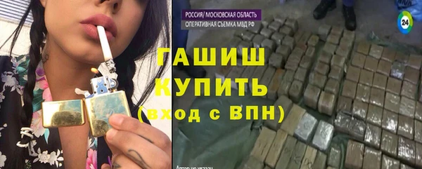СК Новозыбков