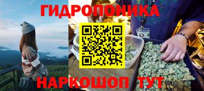 марихуана Аргун