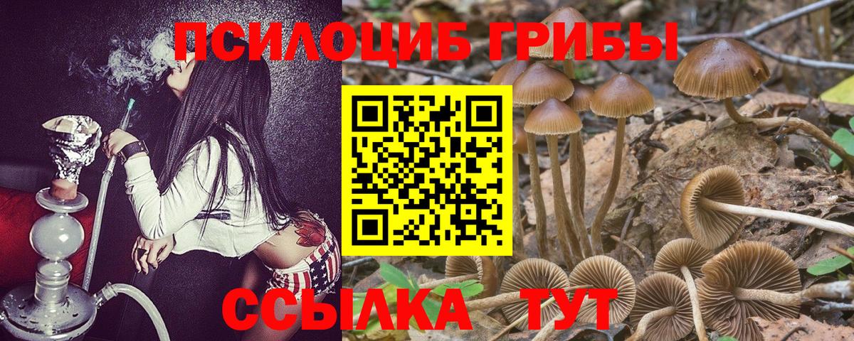 Псилоцибиновые грибы Magic Shrooms  Галлюциногенные грибы ЛСД  Искитим 