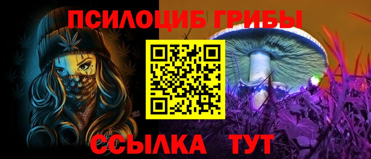 Псилоцибиновые грибы Psilocybe Искитим