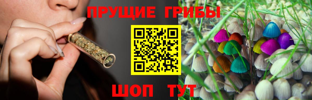 Искитим  Псилоцибиновые грибы Psilocybe  Вход с VPN 